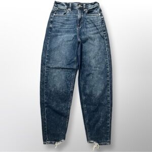 American Eagle Relaxed Mom Jean 00